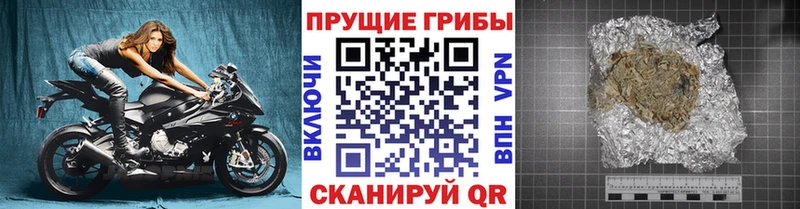 Купить  Костомукша  Галлюциногенные грибы мицелий 